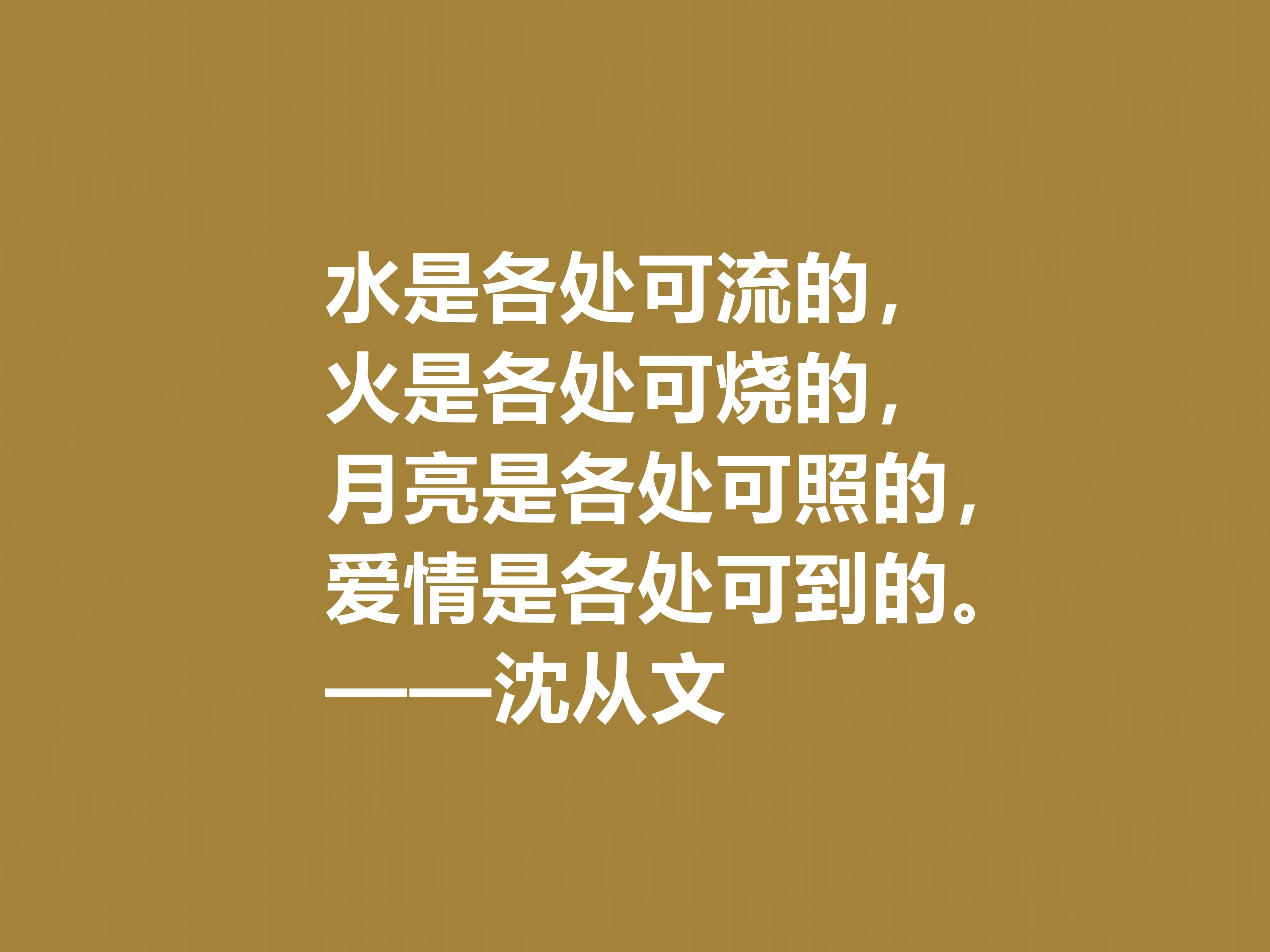 深爱小说下载，数字文学新世界探索