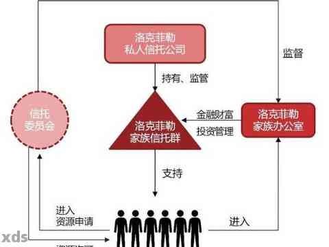 家族利益下载，传统与现代社会的交织挑战