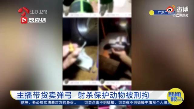 弹弓技艺与责任交织，最新打鸟视频观察