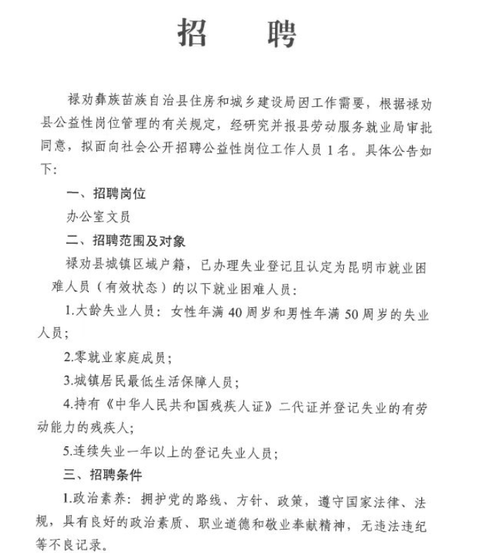 绿春县级托养福利事业单位招聘启事全新发布