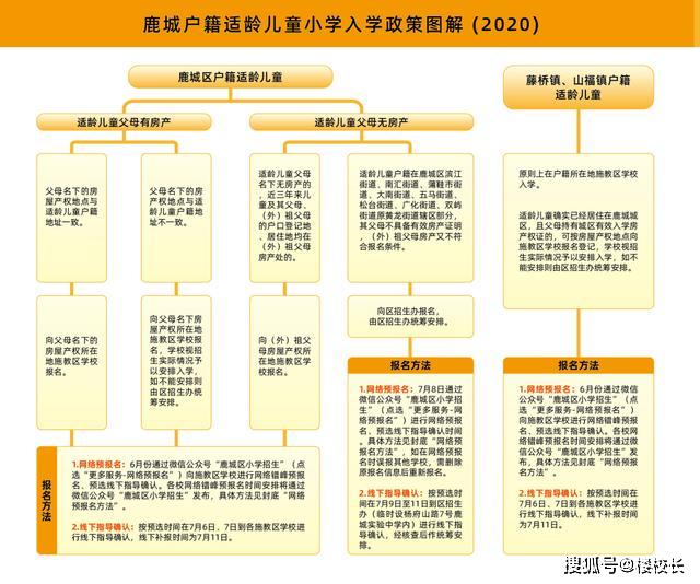 鹿城区小学最新招聘启事概览