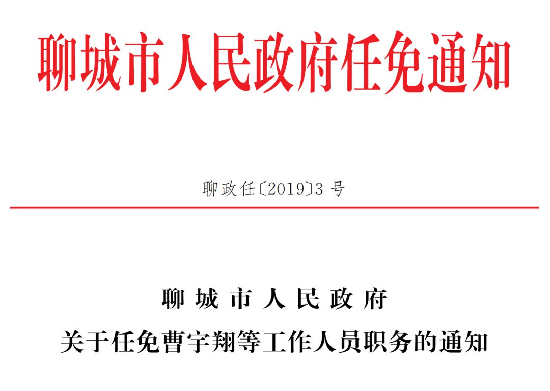 聊城市市政管理局人事任命揭晓，塑造未来城市新篇章领导者上任