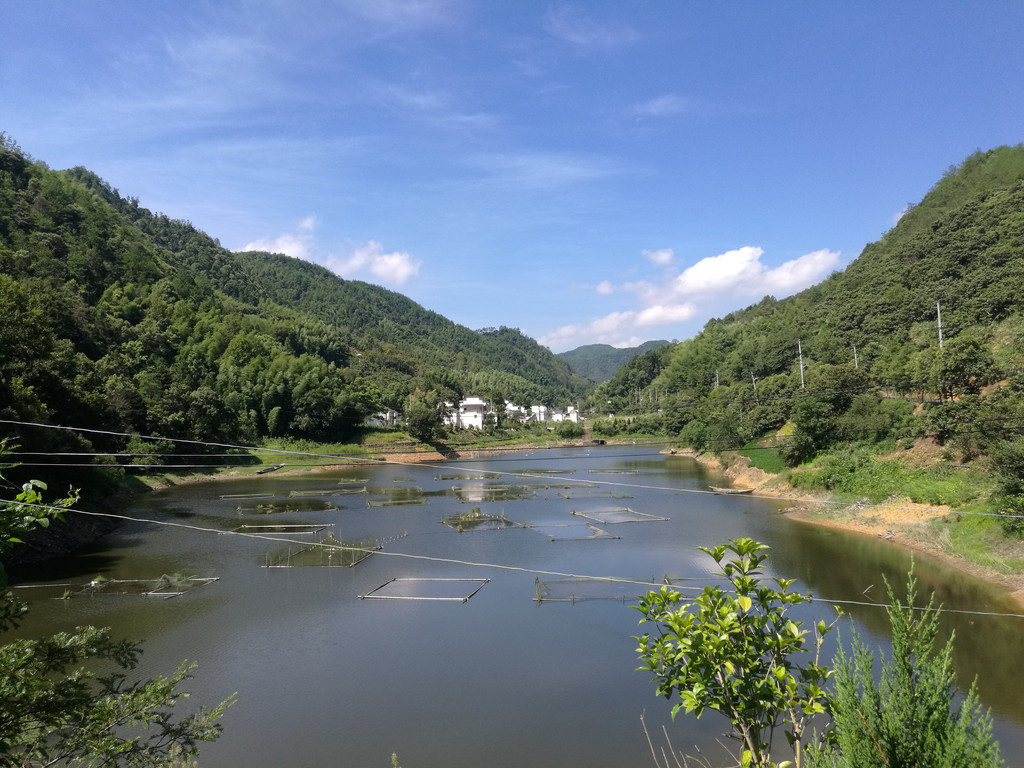 深渡水乡天气预报更新通知