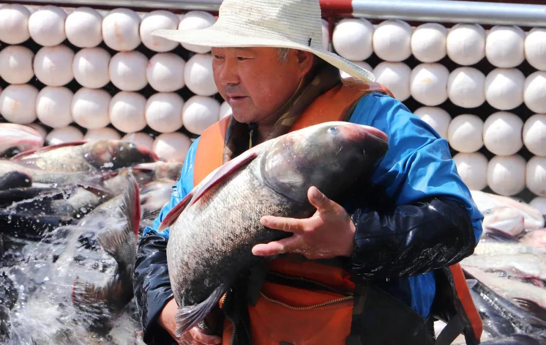 句容市二圣种猪场天气预报更新通知