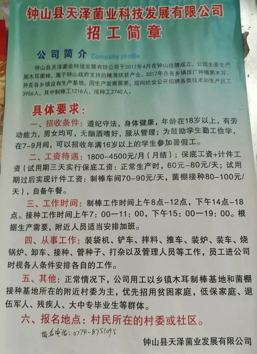 仙女山镇最新招聘信息全面解析