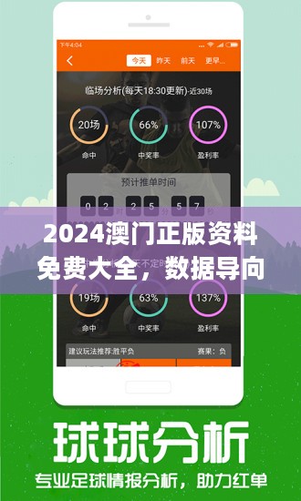 澳门最精准真正最精准,精细分析解释定义_挑战版10.12