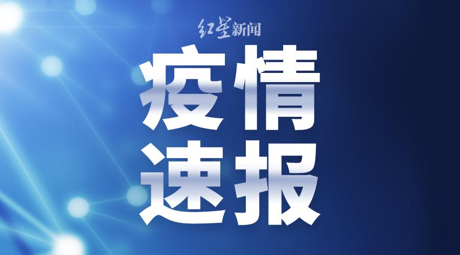 澳门今晚必开一肖1,可靠设计策略解析_X版74.495