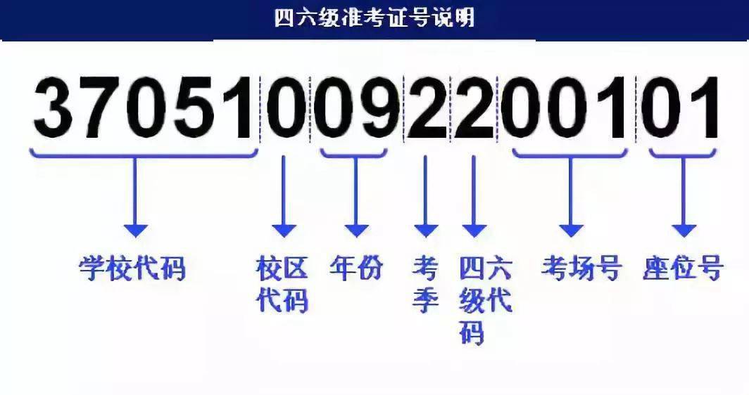 澳门管家婆资料一码一特一,快速实施解答策略_复刻款73.180