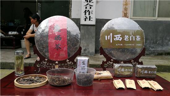 洪雅县住房和城乡建设局领导团队全新亮相，展望未来发展之路