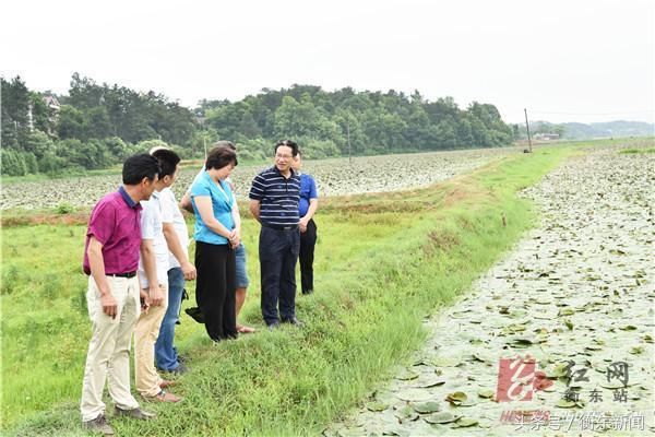 草市镇最新项目——地区发展璀璨明珠引领前行