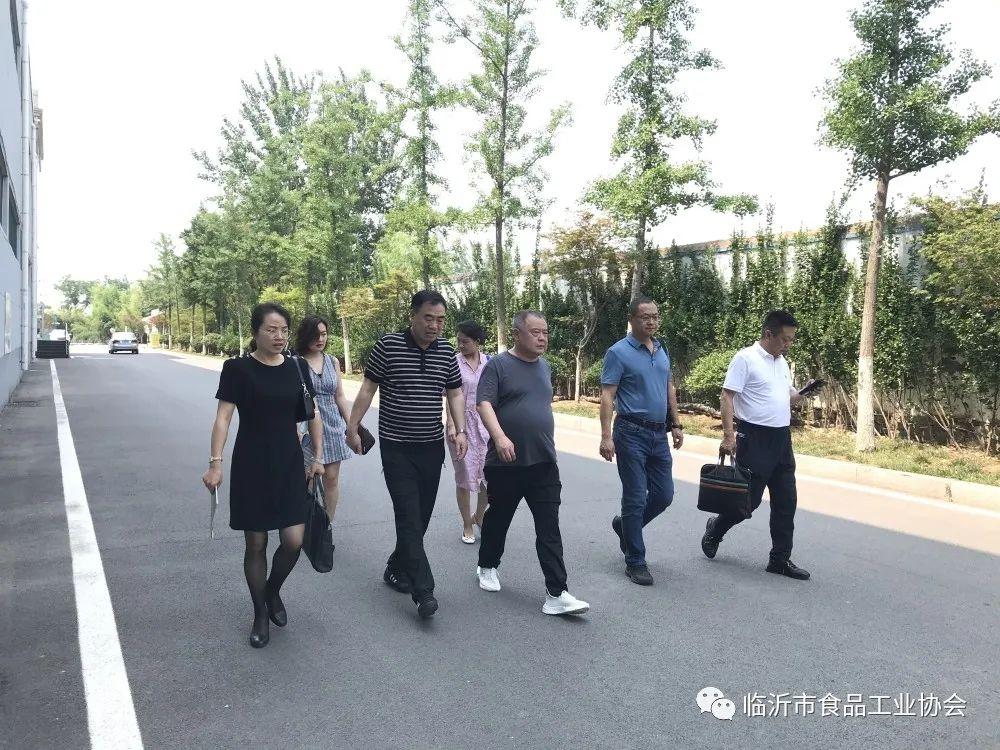 红河哈尼族彝族自治州招商促进局最新项目动态概览