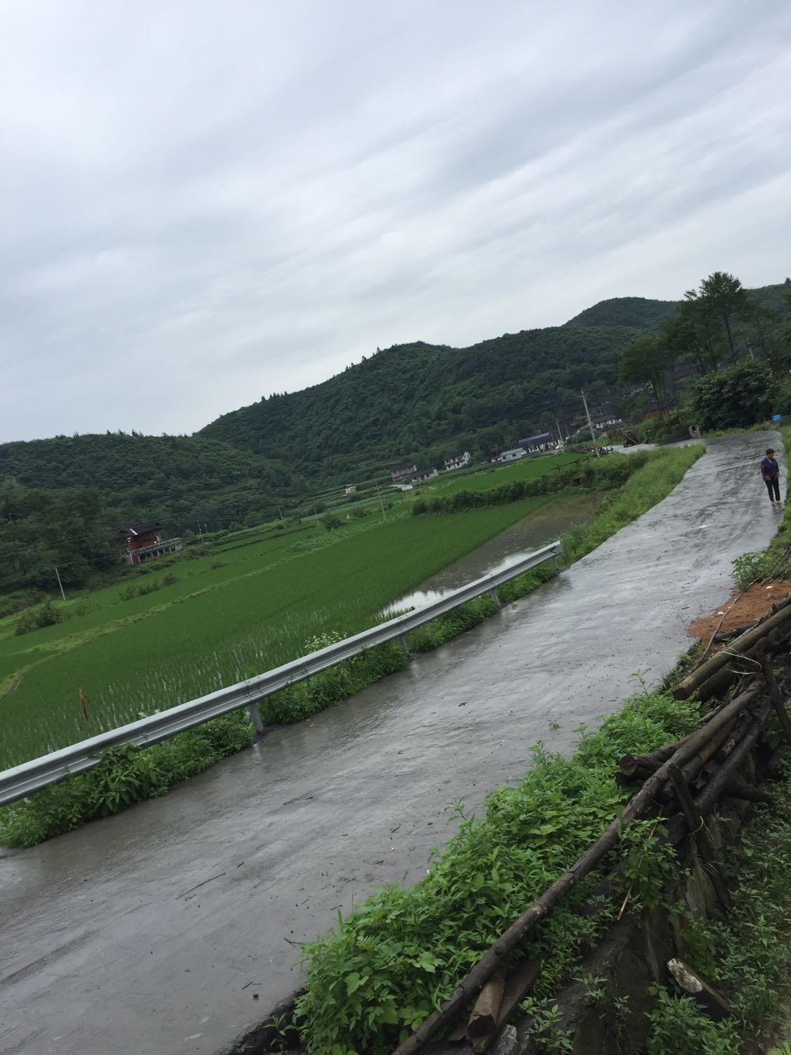 多龙村天气预报更新通知