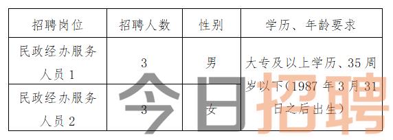 大理白族自治州市文化局招聘公告及细节详解