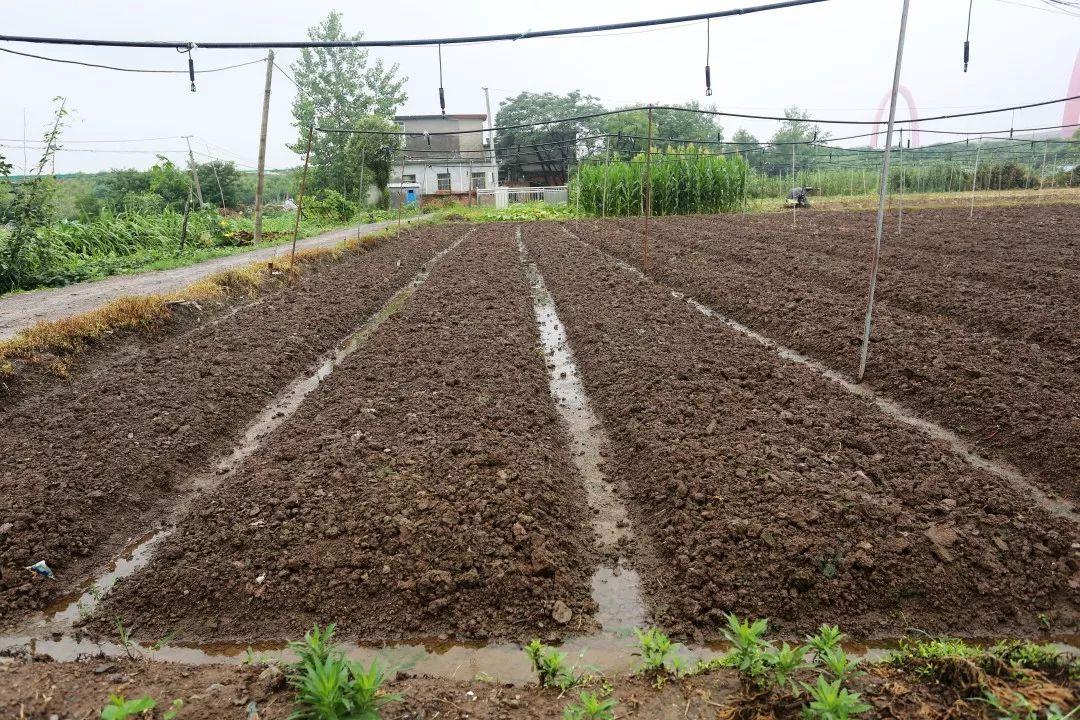 雨山区水利局领导团队全新亮相，未来展望与责任担当