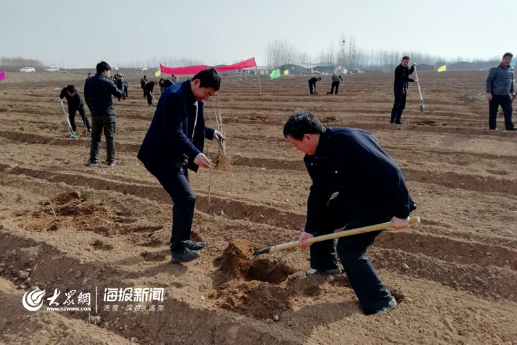 峤山镇发展规划，打造现代化繁荣宜居小城镇