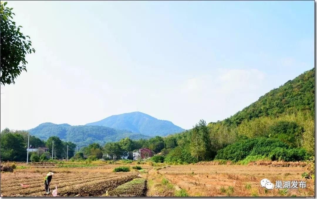 巢湖市农业局新项目引领农业现代化，乡村振兴再添助力