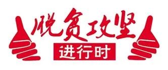 山字墩村委会最新招聘公告概览