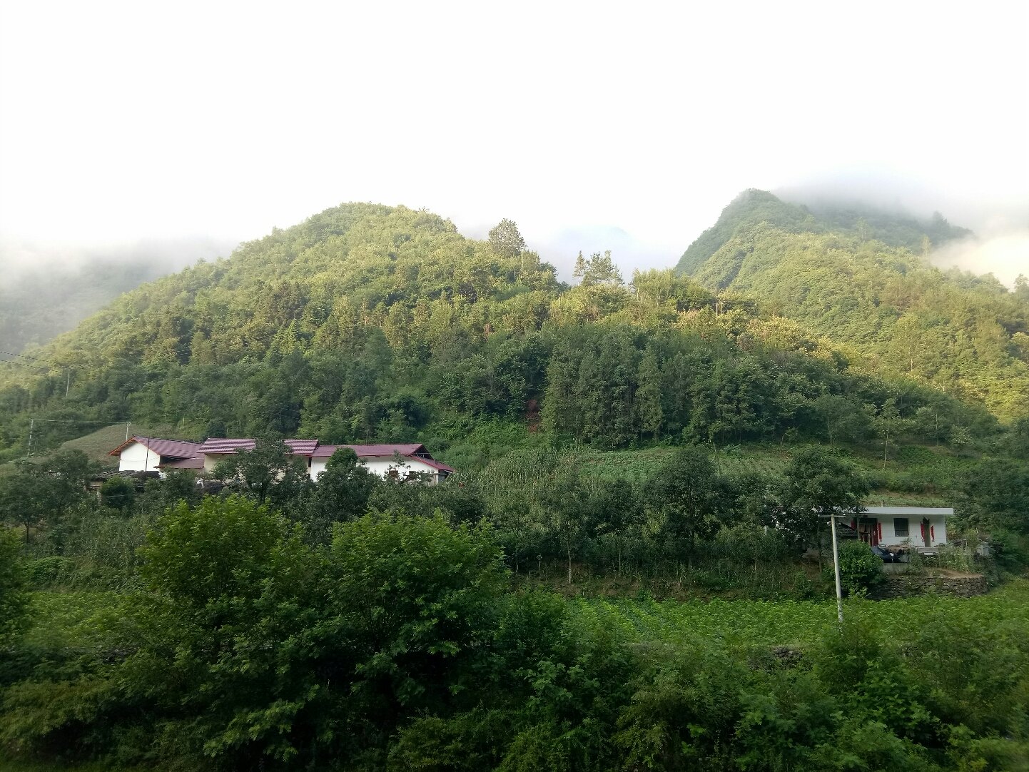 迷坝乡天气预报更新通知