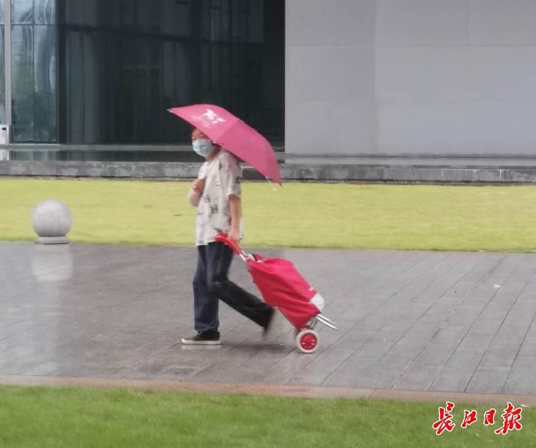 金桥街道天气预报更新通知