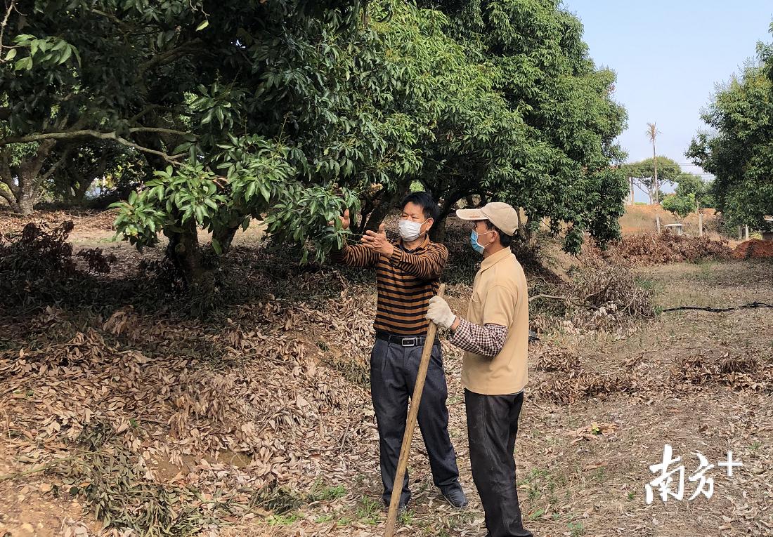 根子镇最新项目，地方发展的强大引擎领航者