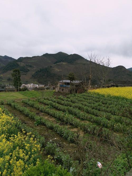 湖山乡天气预报更新通知